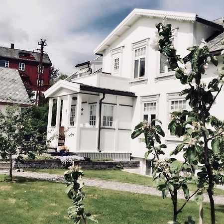 Bo I Historisk Bygning, Kort Vei Til Sentrum Trondheim Zewnętrze zdjęcie