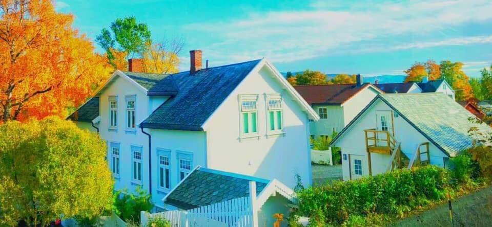 Bo I Historisk Bygning, Kort Vei Til Sentrum Trondheim Zewnętrze zdjęcie